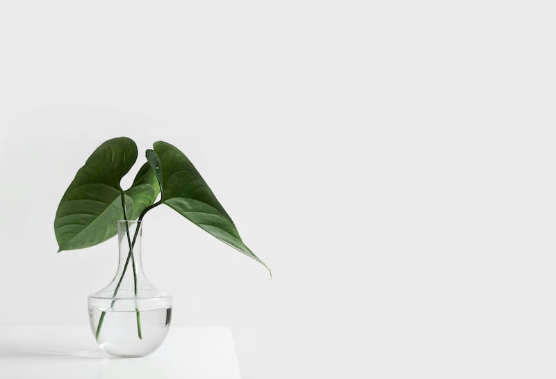 Minimalismo financiero: cómo simplificar tu vida y disfrutar más Minimalismo financiero aplicado en la vida
